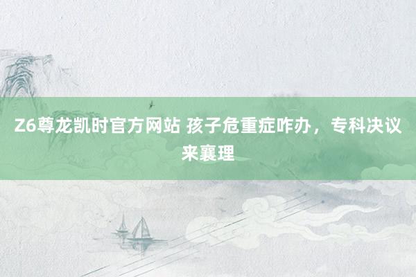 Z6尊龙凯时官方网站 孩子危重症咋办，专科决议来襄理