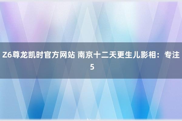 Z6尊龙凯时官方网站 南京十二天更生儿影相：专注 5