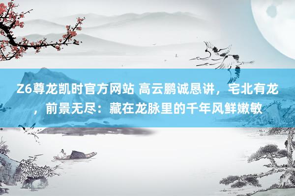 Z6尊龙凯时官方网站 高云鹏诚恳讲，宅北有龙，前景无尽：藏在龙脉里的千年风鲜嫩敏