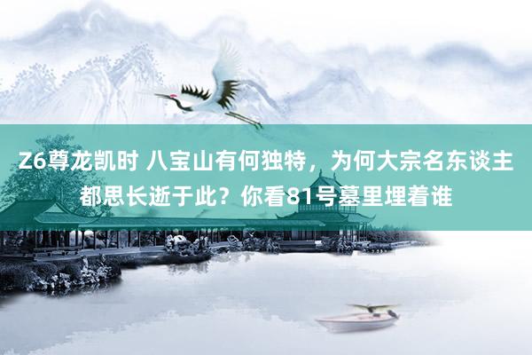 Z6尊龙凯时 八宝山有何独特，为何大宗名东谈主都思长逝于此？你看81号墓里埋着谁