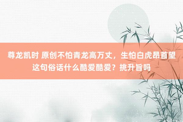 尊龙凯时 原创不怕青龙高万丈，生怕白虎昂首望这句俗话什么酷爱酷爱？挑升旨吗