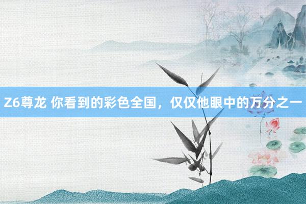 Z6尊龙 你看到的彩色全国，仅仅他眼中的万分之一