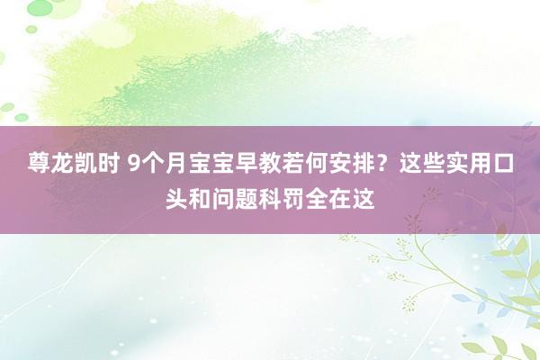 尊龙凯时 9个月宝宝早教若何安排？这些实用口头和问题科罚全在这