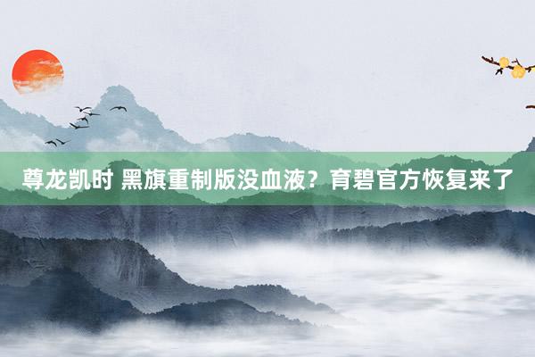 尊龙凯时 黑旗重制版没血液？育碧官方恢复来了