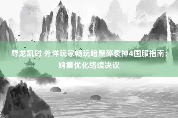 尊龙凯时 外洋玩家畅玩暗黑碎裂神4国服指南：鸠集优化络续决议