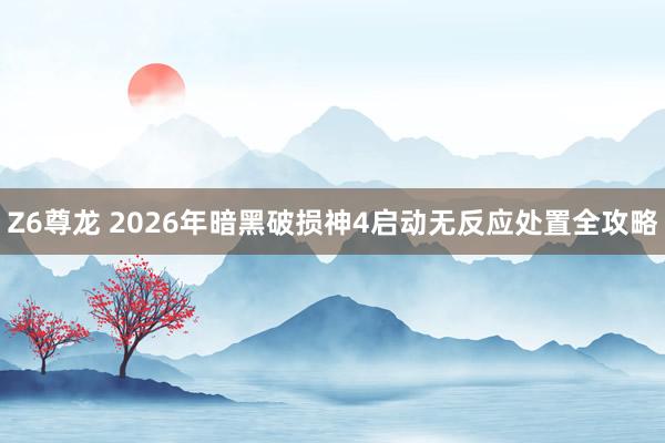 Z6尊龙 2026年暗黑破损神4启动无反应处置全攻略