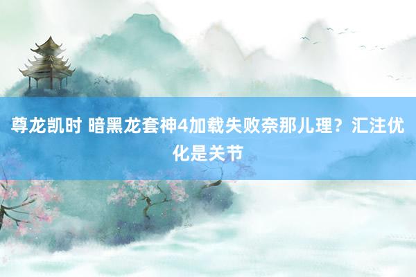 尊龙凯时 暗黑龙套神4加载失败奈那儿理？汇注优化是关节