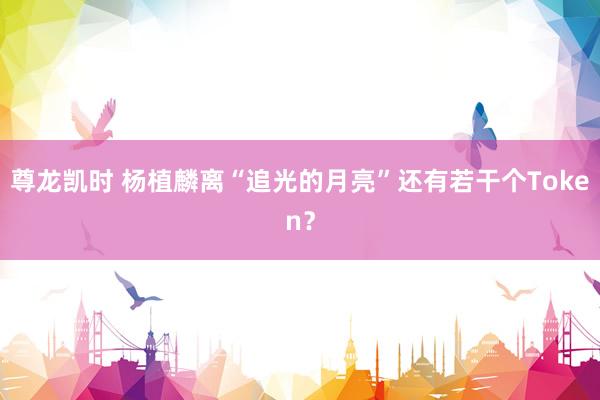 尊龙凯时 杨植麟离“追光的月亮”还有若干个Token？