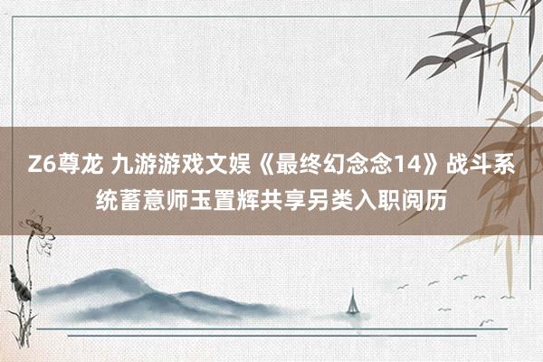 Z6尊龙 九游游戏文娱《最终幻念念14》战斗系统蓄意师玉置辉共享另类入职阅历