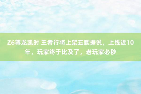 Z6尊龙凯时 王者行将上架五款据说，上线近10年，玩家终于比及了，老玩家必秒