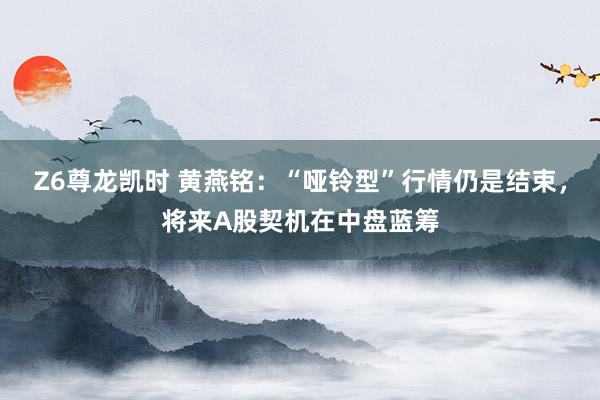 Z6尊龙凯时 黄燕铭：“哑铃型”行情仍是结束，将来A股契机在中盘蓝筹