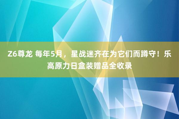 Z6尊龙 每年5月，星战迷齐在为它们而蹲守！乐高原力日盒装赠品全收录