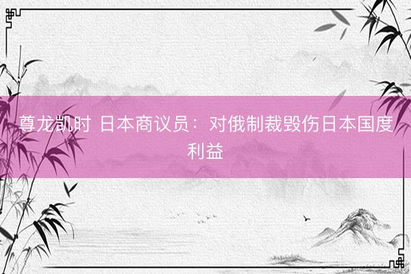 尊龙凯时 日本商议员：对俄制裁毁伤日本国度利益