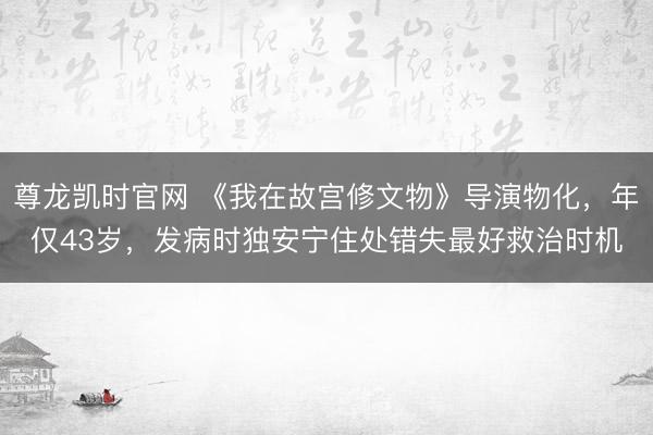 尊龙凯时官网 《我在故宫修文物》导演物化，年仅43岁，发病时独安宁住处错失最好救治时机